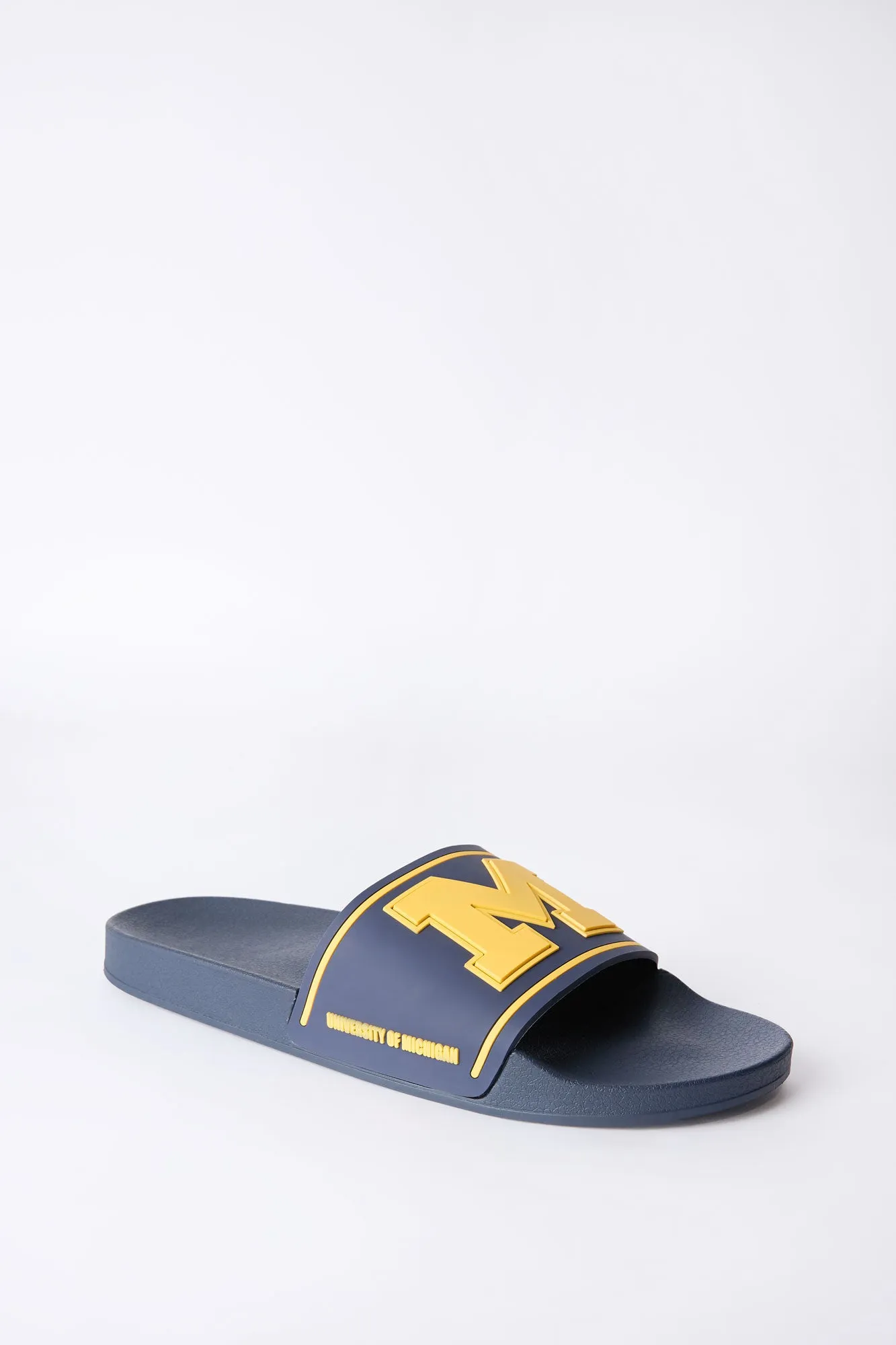 Michigan M Slides