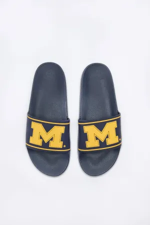 Michigan M Slides