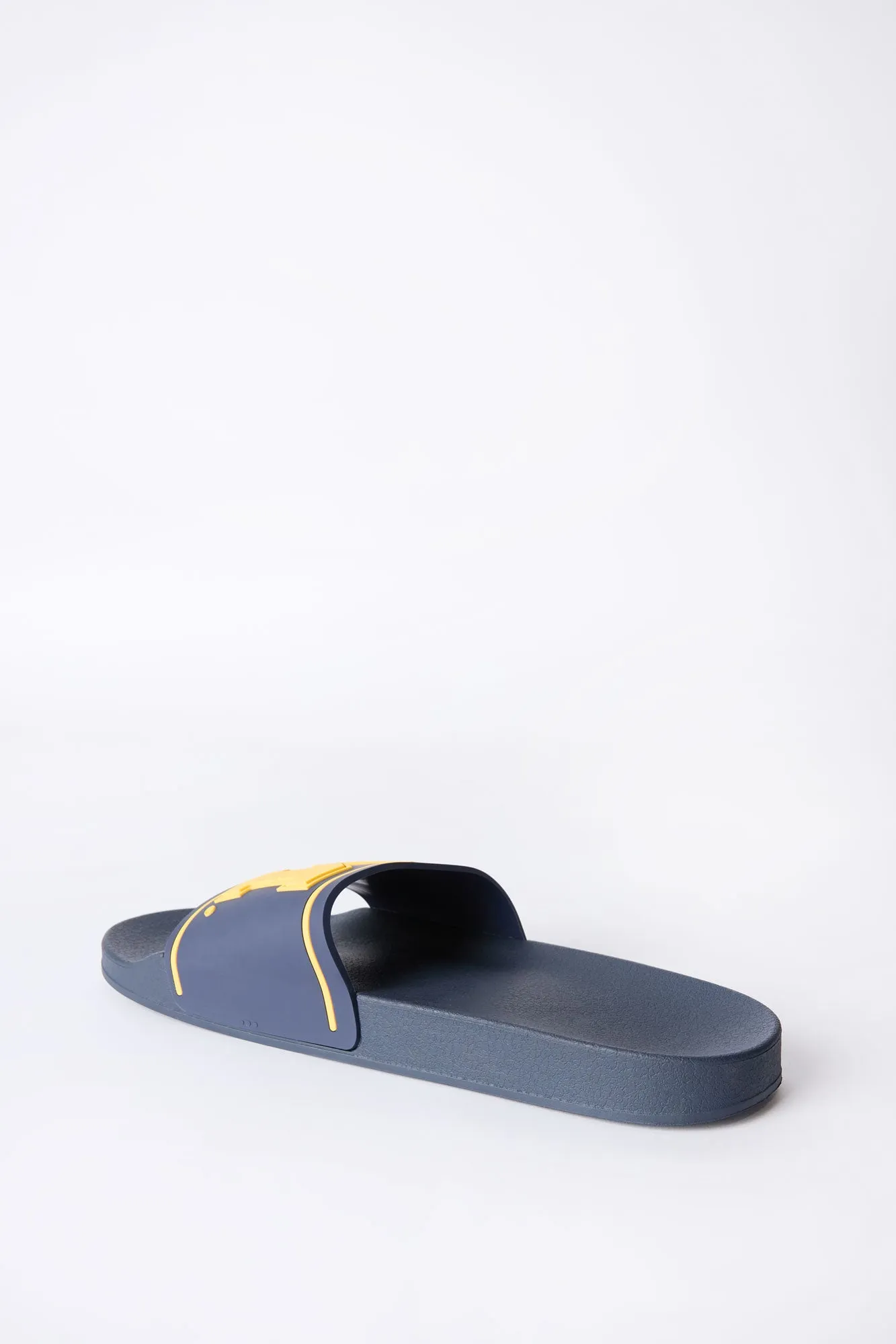 Michigan M Slides