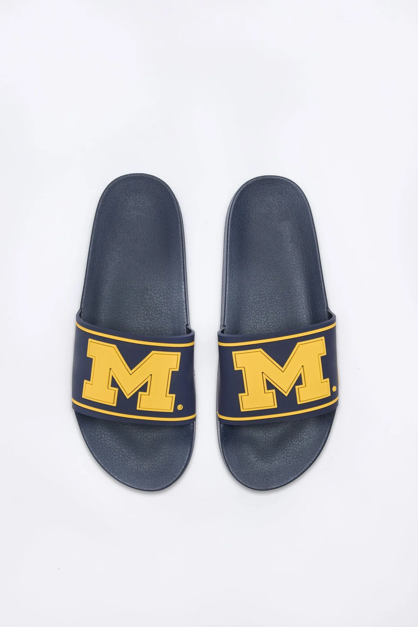 Michigan M Slides